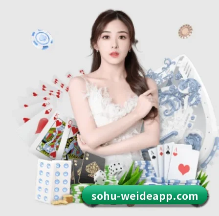韦德体育 APP 界面